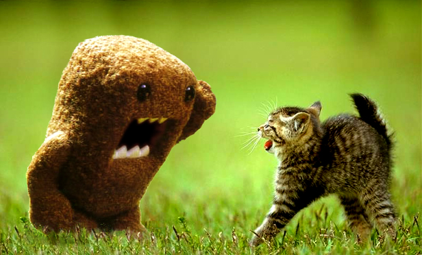 domo-kitty